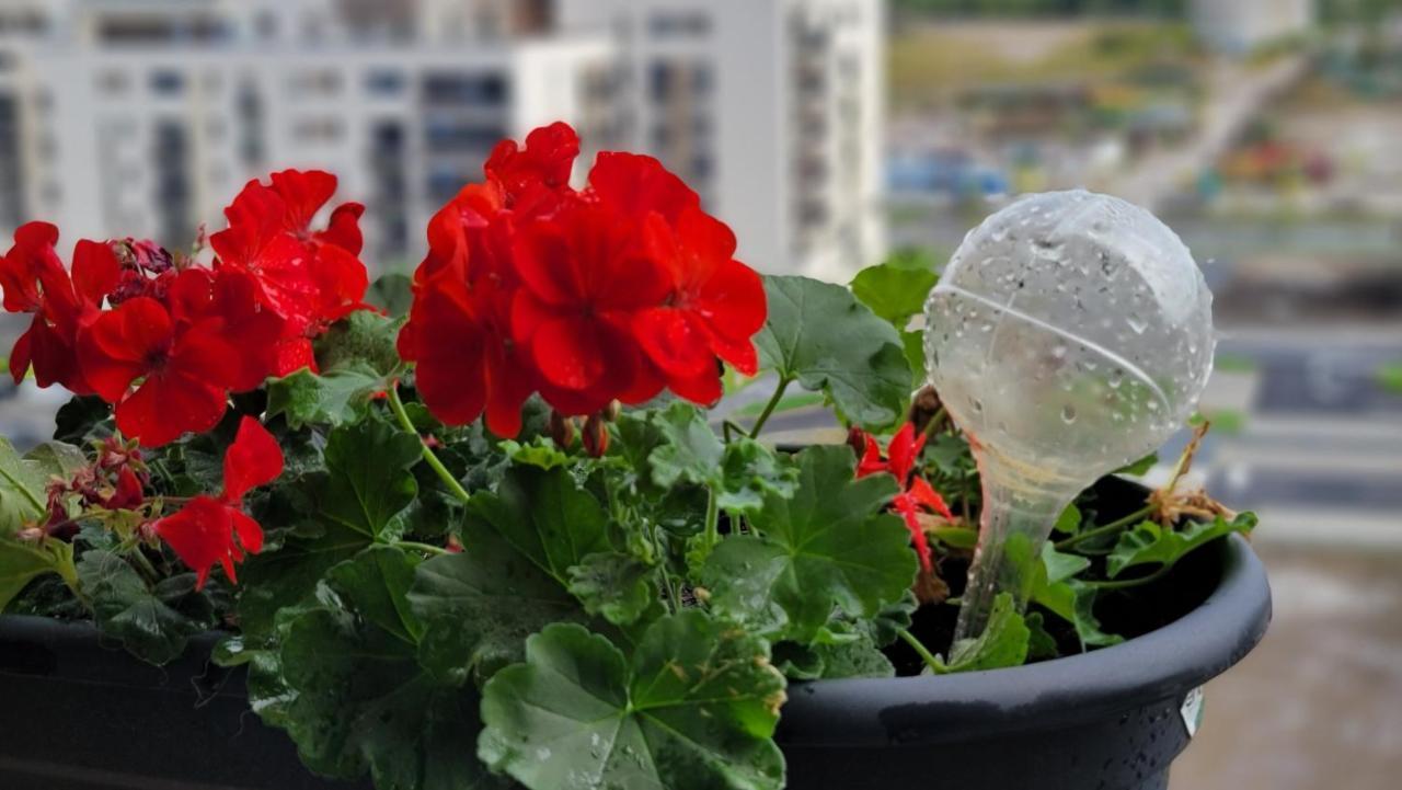 Mei Blue Braşov Dış mekan fotoğraf